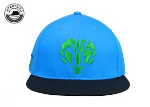 Черно-синяя бейсболка с двухцветной вышивкой на плоской подошве для мужчин и женщин