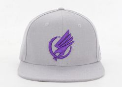 Акриловая 3D-вышивка серой бейсболки Snapback Cap Custom Grey Snapbacks