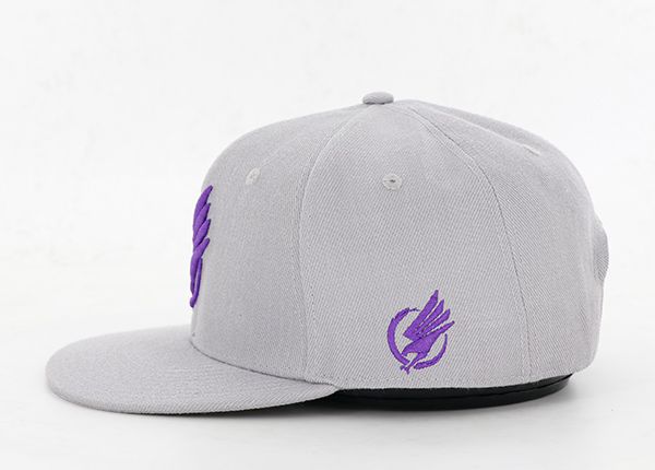 Боковая сторона акриловой 3D-вышивки Серой бейсболки Snapback