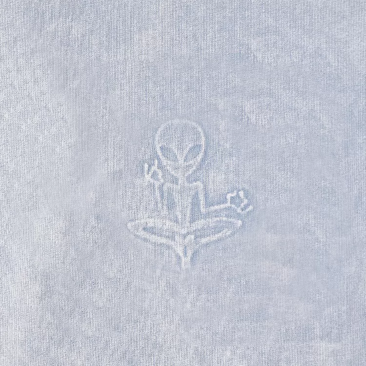 оптовая продажа дешевых толстовок на заказ с модным серым принтом для женщин-hd010